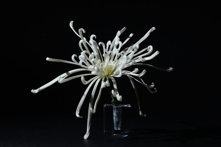 How to Hire Programmers for a Startup