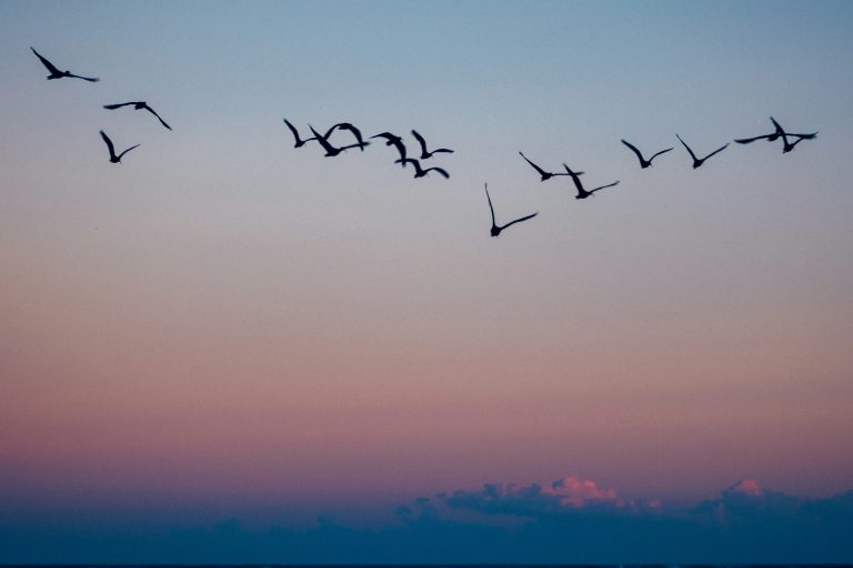 Migration Without Meltdown: Re‑platforming a Monolith to Services Step‑by‑Step